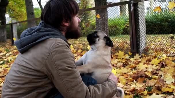 Niedliche Mops Hund Küsst Leckt Gesicht Dem Mann Besitzer Haustier — Stockvideo