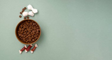 Köpek maması ve yeşil arka planda fotokopi alanı olan bir kasede besleme. Çeşitli köpek maması çeşitleri. düz yat
