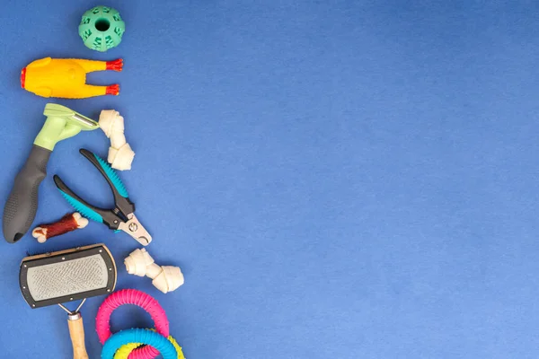 Аксесуари Тварин Іграшки Обладнання Догляду Ласощі Синьому Фоні Плоский Простір — стокове фото