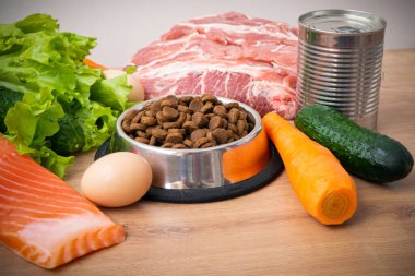 Doğal malzemeli kurutulmuş köpek maması. Çiğ et, balık, sebze, yumurta ve salata. Yanında da kuru hayvan yemi. Evcil hayvan için doğru dengeli ve sağlıklı beslenme kavramı, yakın plan