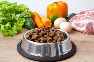 Doğal malzemeli kurutulmuş köpek maması. Çiğ et, sebze, yumurta ve salata kasenin yanında ahşap arka planda kuru hayvan yemi. Evcil hayvan için doğru dengeli ve sağlıklı beslenme kavramı
