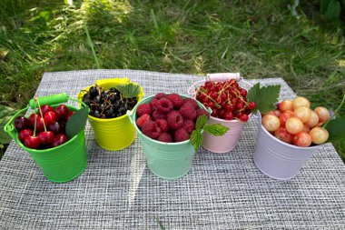 Ahududu, frenk üzümü ve kiraz gibi karışık yaz meyveleriyle dolu renkli sepetler. Yeşil arka plandaki bir bahçede çeşitli böğürtlenleri hasat et