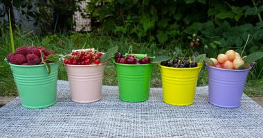 Ahududu, frenk üzümü ve kiraz gibi karışık yaz meyveleriyle dolu renkli sepetler. Yeşil arka plandaki bir bahçede çeşitli böğürtlenleri hasat et