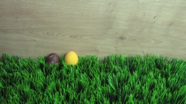 Mutlu Paskalya tatili hareketli animasyonu. Çimenlerde renkli yumurtalar belirir. Yaratıcı ve tasarım için alan,