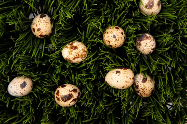 Quail Eggs Green Grass Flat Lay Close — Stock Photo, Image