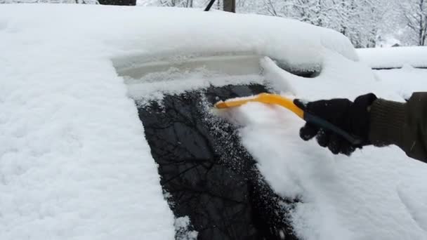 Mannen rengör sin bil med borste från snön. Person som borstar nysnö från bilen på vintern — Stockvideo