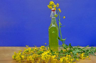 Kırsal ahşap masada mavi arka planda kolza tohumu çiçekli cam şişe tecavüz yağı.