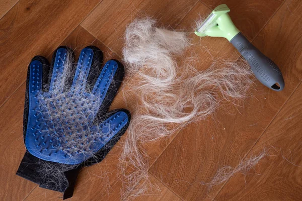 Temizleme aracı ile yün hayvan yığını. Fosforlu ve silikon eldiven tarağı tımar ediliyor. Deri değiştirmiş kedi ve köpek konsepti