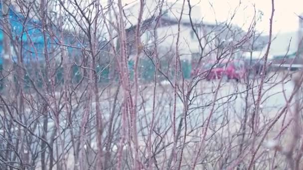 Fiocchi Neve Invernali Morbidi Cadono Sfondo Sfocato Roteano Vento Aria — Video Stock