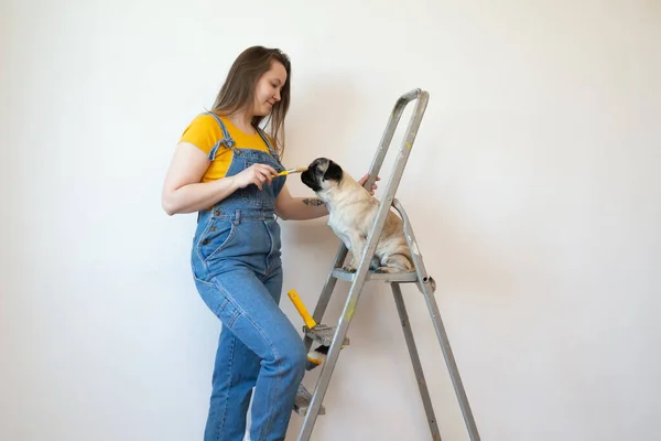 Mujer Soltera Independiente Hace Reparaciones Apartamento Con Mascota Divertido Perro — Foto de Stock