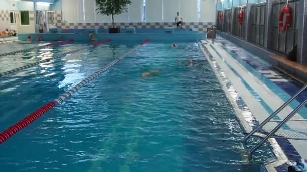 Personas Que Hacen Ejercicio Piscina Cubierta Deporte Agua Borrosa — Vídeo de stock