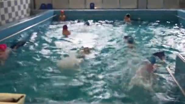 Personas Que Hacen Ejercicio Piscina Cubierta Deporte Agua Borrosa — Vídeo de stock