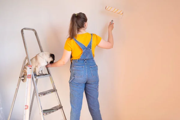 Mulher Feliz Faz Reparos Seu Apartamento Com Seu Cachorro Engraçado — Fotografia de Stock