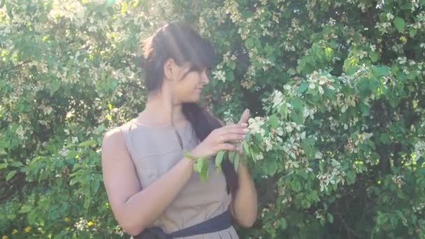 Ritratto donna annusa ramo fiorito di un albero. Giovane bella donna gode di profumo di fiori in giardino. — Video Stock
