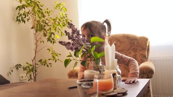 Küçük kız evde pembe bir çiçek kokla. — Stok video