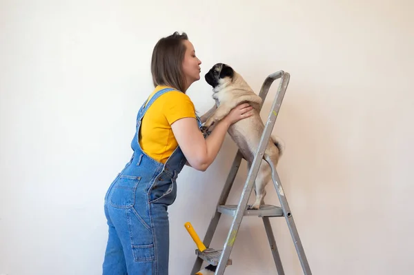 Mujer Soltera Independiente Hace Reparaciones Apartamento Con Mascota Divertido Perro — Foto de Stock