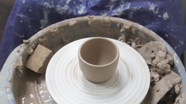 Close Professional Potter Ceramist Hands Molding Clay Pot Potter Wheel — Stock Video