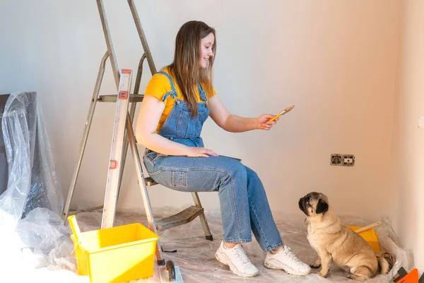 Mujer soltera independiente junto con un perrito hacen reparaciones en el apartamento. Mascotas siempre allí. renovación apartamento hágalo usted mismo — Foto de Stock
