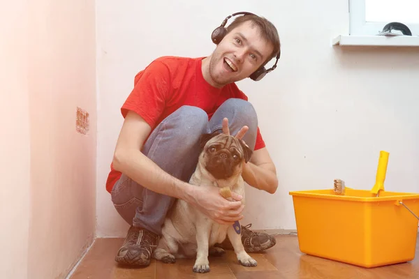 Korjaus mies on hauska lemmikki mopsi koira uudessa talossa remontin aikana, rakennustyökalut. Itsenäinen yhden miehen elämää lemmikki . — kuvapankkivalokuva