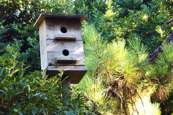 Small Wooden Birdhouse Green Grove Tuscany — Stock Photo, Image