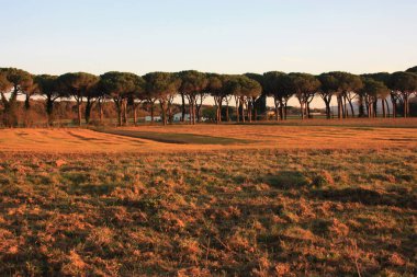 Toskana kırsalında romantik günbatımları alacakaranlıkta ve İtalya 'da doğada fantastik renkler