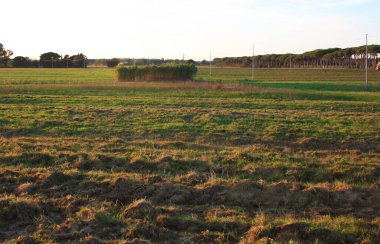 Toskana kırsalında romantik günbatımları alacakaranlıkta ve İtalya 'da doğada fantastik renkler