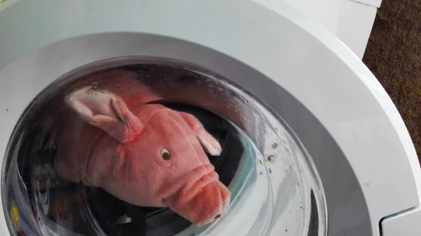 Bonito Títere Cerdo Rosa Asoma Una Puerta Lavadora Blanca —  Fotos de Stock