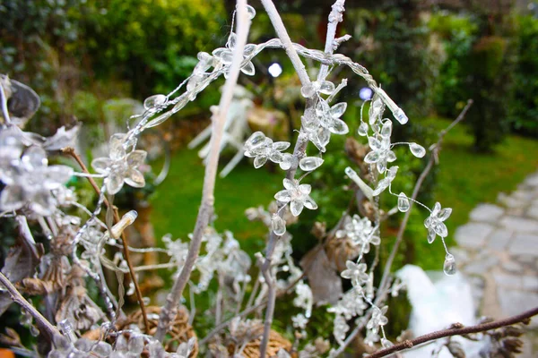 Weiße Romantische Eiszapfen Und Transparente Stalaktiten Als Weihnachtsdekoration Einer Vase — Stockfoto