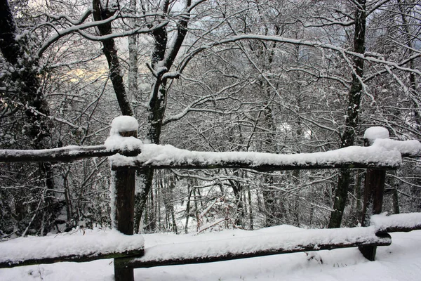 Trästaket Täckt Vit Snö Längs Vägen Som Löper Längs Skogen — Stockfoto