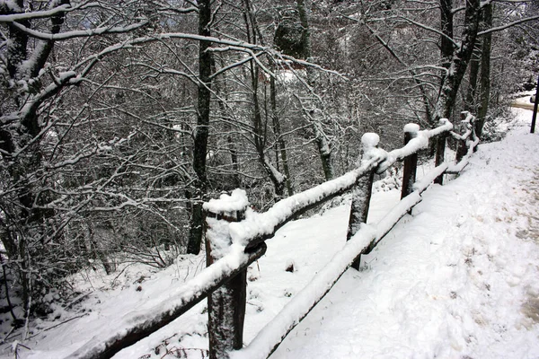 Trästaket Täckt Vit Snö Längs Vägen Som Löper Längs Skogen — Stockfoto