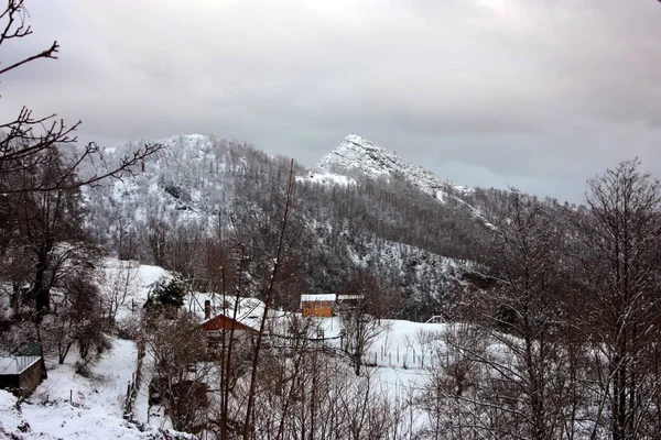 Dağlarda Küçük Bir Kulübe Dağ Evi Kışın Yumuşak Beyaz Karında — Stok fotoğraf