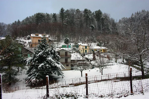 아산에 산등성이와 소나무 사이에 풍경은 겨울에 백설로 뒤덮여 — 스톡 사진