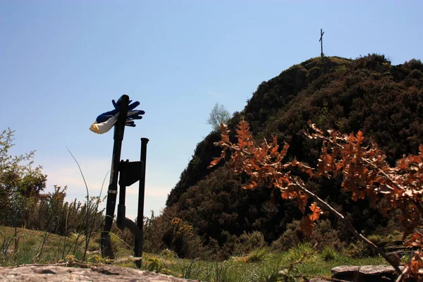 金属探知機 シャベルと手袋が一時停止中緑の公園でPasquilioの十字架と山の下の夏の日にアプアンアルプスのパノラマのポイントで発掘を待っている — ストック写真