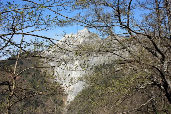 Fantástico Valle Del Paisaje Monte Pasquilio Los Alpes Apuanos Cumbre — Foto de Stock