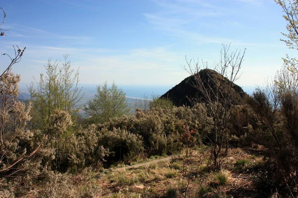 Spettacolo Naturalistico Panorami Mozzafiato Dalle Vette Delle Alpi Apuane All — Foto Stock