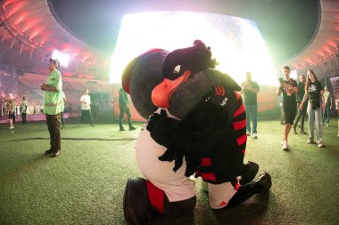 Rio de Janeiro (RJ), 29 / 11 / 2025 - FLA FEST 2025 - Fla Fest 2025, Maracan 'da düzenlenen Libertadores finali, Flamengo x Palmeiras.     