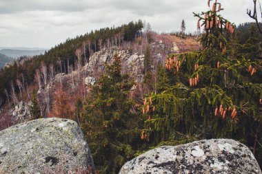 Treppenstein, Okertal 'da. Almanya 'daki Harz Dağları Ulusal Parkı' nda Goslar yakınlarındaki manzaralı dağ manzarası