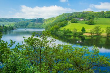 Almanya 'daki Eifel Ulusal Parkı' nda. Rursee Gölü manzarası ve Kuzey Ren-Vestfalya 'daki yeşil tepeler