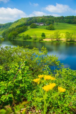 Almanya 'daki Eifel Ulusal Parkı' nda. Rursee Gölü manzarası ve Kuzey Ren-Vestfalya 'daki yeşil tepeler