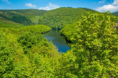 Lake Urft at Eifel National Park, Germany. Scenic view of lake and river Urft and surrounded lush green landscape in North Rhine-Westphalia clipart