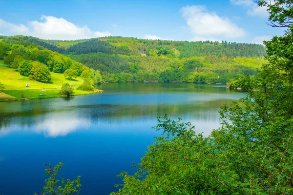 Almanya 'daki Eifel Ulusal Parkı' nda. Rursee Gölü manzarası ve Kuzey Ren-Vestfalya 'daki yeşil tepeler