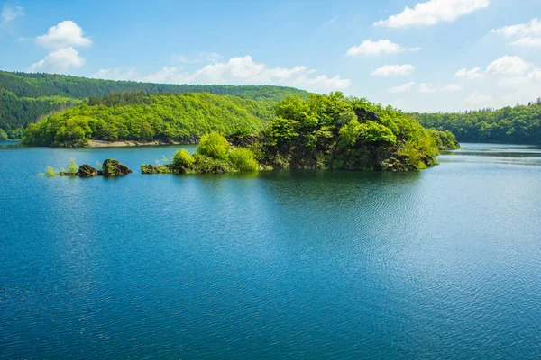 Eifel Ulusal Parkı, Almanya 'da Urft Gölü. Kuzey Ren-Vestfalya 'da göl ve nehir manzarası ve yemyeşil manzaralar.