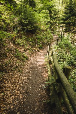 Alman ormanında yürüyüş parkurunda. Northrhine-Westphalia eyaletindeki Rothaar Dağları 'ndaki manzara patikası