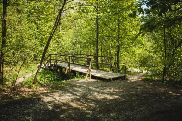 ドイツの森のハイキングコース ノースライン ヴェストファーレン州のロザール山脈に木製の橋を持つ風景歩道 — ストック写真