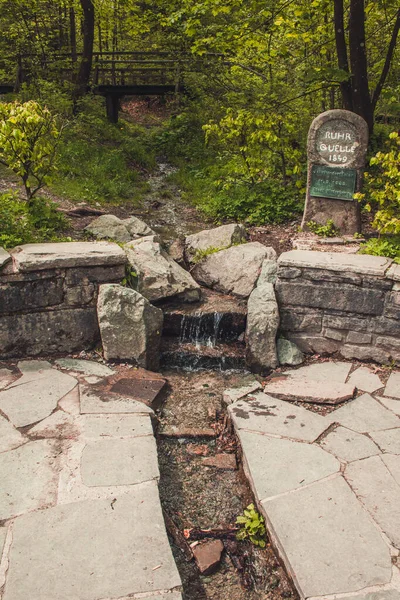 Zdroj Řeky Porúří Winterbergu Západním Německu Idylické Místo Rothaarských Horách — Stock fotografie