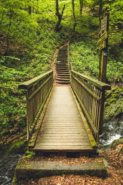 Sentier Randonnée Dans Forêt Allemande Sentier Pittoresque Avec Pont Bois — Photo