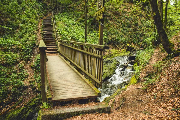 Sendero Senderismo Bosque Alemán Sendero Panorámico Con Puente Madera Las — Foto de Stock