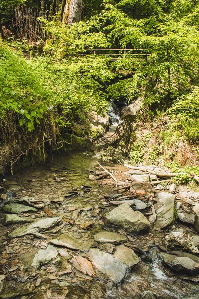 Natursköna Vilda Floden Helle Nära Winterberg Rothaar Bergen Delstaten Nordrhein — Stockfoto