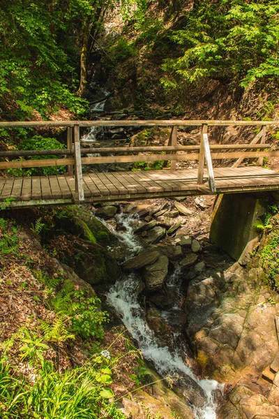 Trilha Caminhada Floresta Alemã Caminho Panorâmico Com Ponte Madeira Nas — Fotografia de Stock