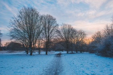 Braunschweig, Aşağı Saksonya, Almanya 'da kış manzarası. Kışın gün batımında güzel kar Westpark 'ı kapladı.